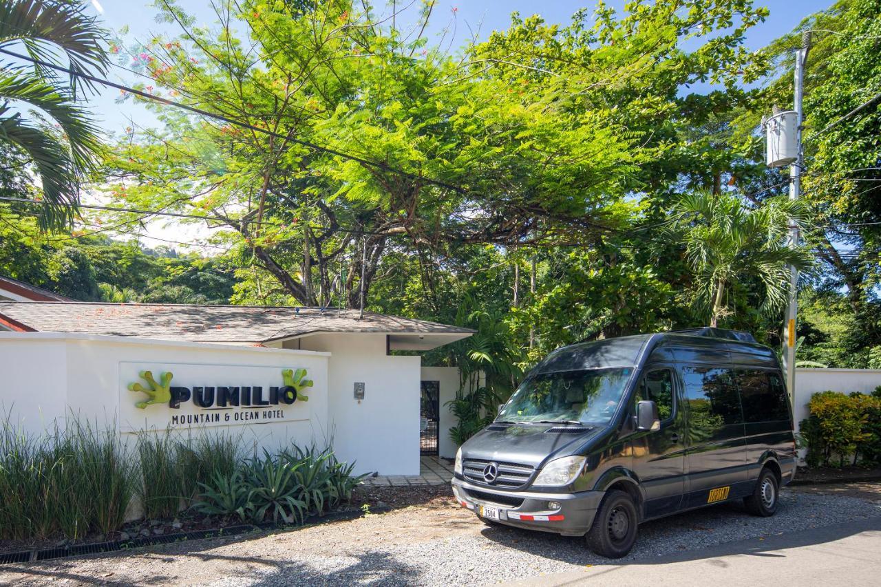 Pumilio Mountain & Ocean Hotel 자코 외부 사진